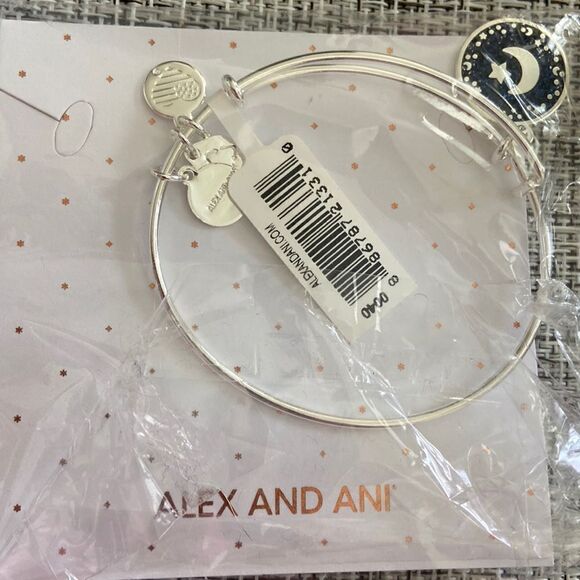 Alex and Ani silver bracelet new with tags - Picture 1 of 5
